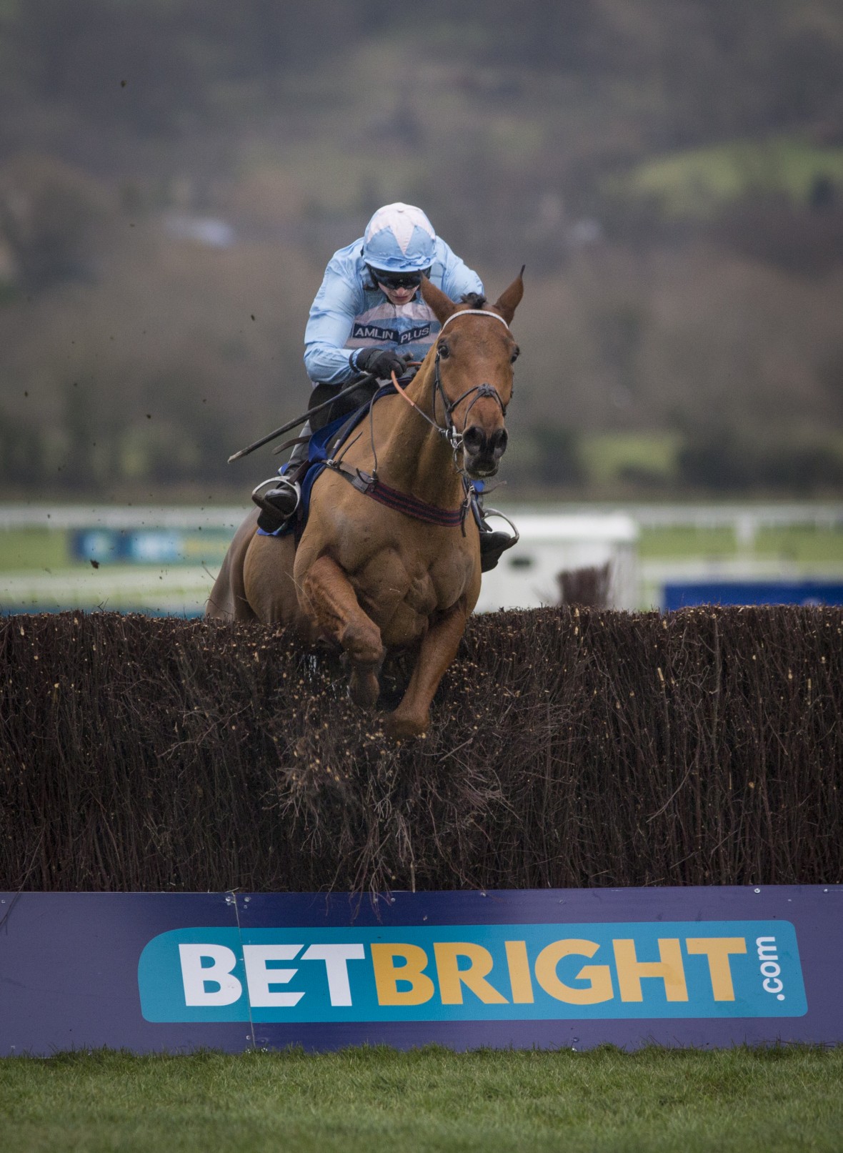 Heavyweight - BetBright And Racing