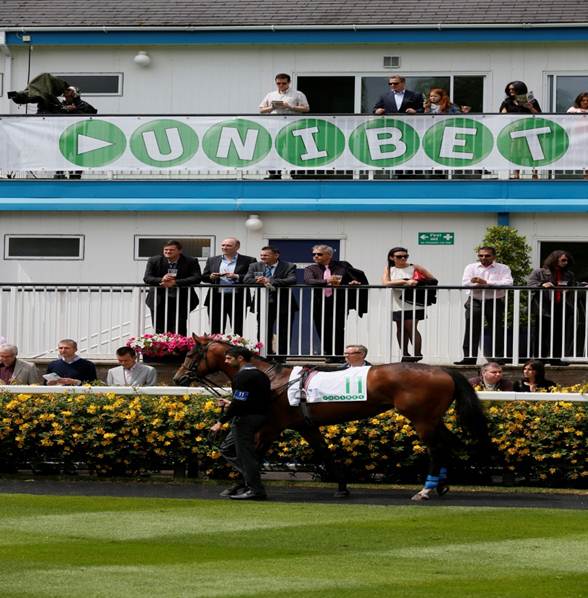 Heavyweight - Unibet at Windsor